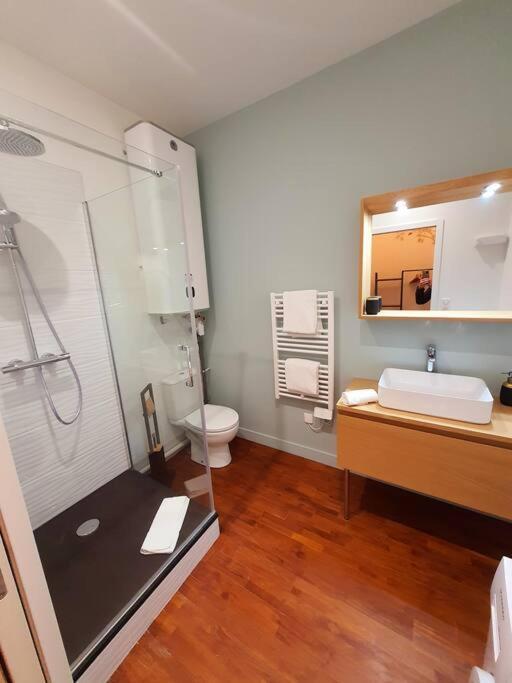 T2 Calme Vieux Tours Basilique Apartman Kültér fotó